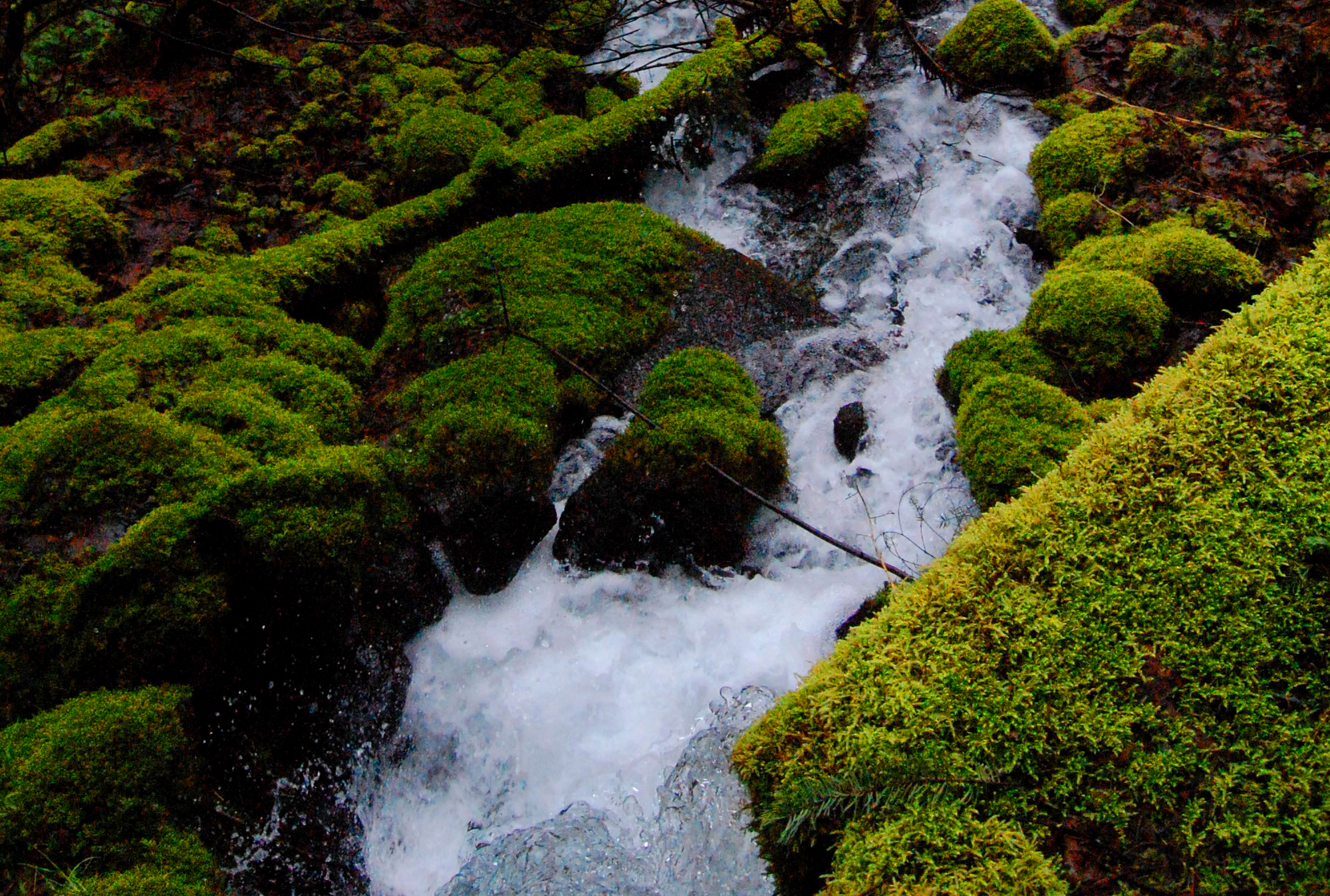 What Is Meant By Spring Water